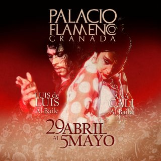 Palacio Flamenco - Espectáculo Flamenco - Todos los días a las 19h y 20.30h