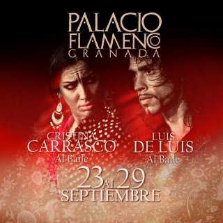 Palacio Flamenco - Espectáculo Flamenco - Todos los días a las 19h y 20.30h. Viernes y sábados te