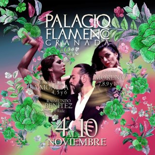 Palacio Flamenco - Espectáculo Flamenco - Todos los días a las 19h y 20.30h. Viernes y sábados te