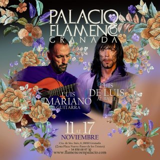 Palacio Flamenco - Espectáculo Flamenco - Todos los días a las 19h y 20.30h. Viernes y sábados te