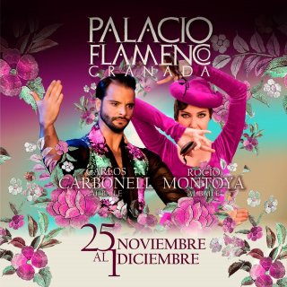 Palacio Flamenco - Espectáculo Flamenco - Todos los días a las 19h y 20.30h. Viernes y sábados te