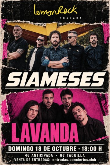 Siameses + Lavanda - 18 octubre 2026