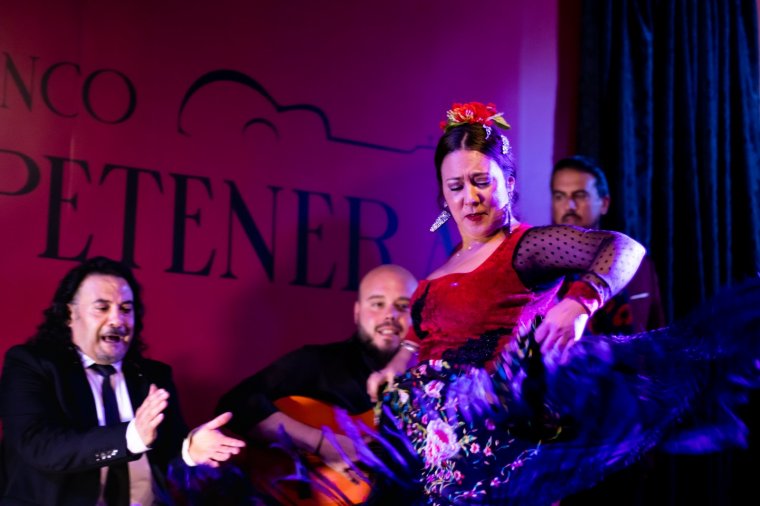 Espectáculo Flamenco