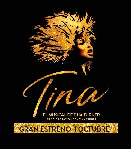 Tina. El musical de Tina Turner