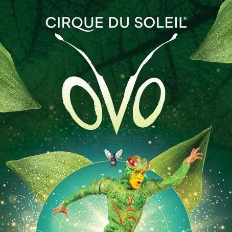 vegetariano escribir Paradoja OVO. Concierto de Cirque du Soleil en Gran Canaria Arena, Las Palmas de  Gran Canaria (Las Palmas) 2023 - Conciertos.Club