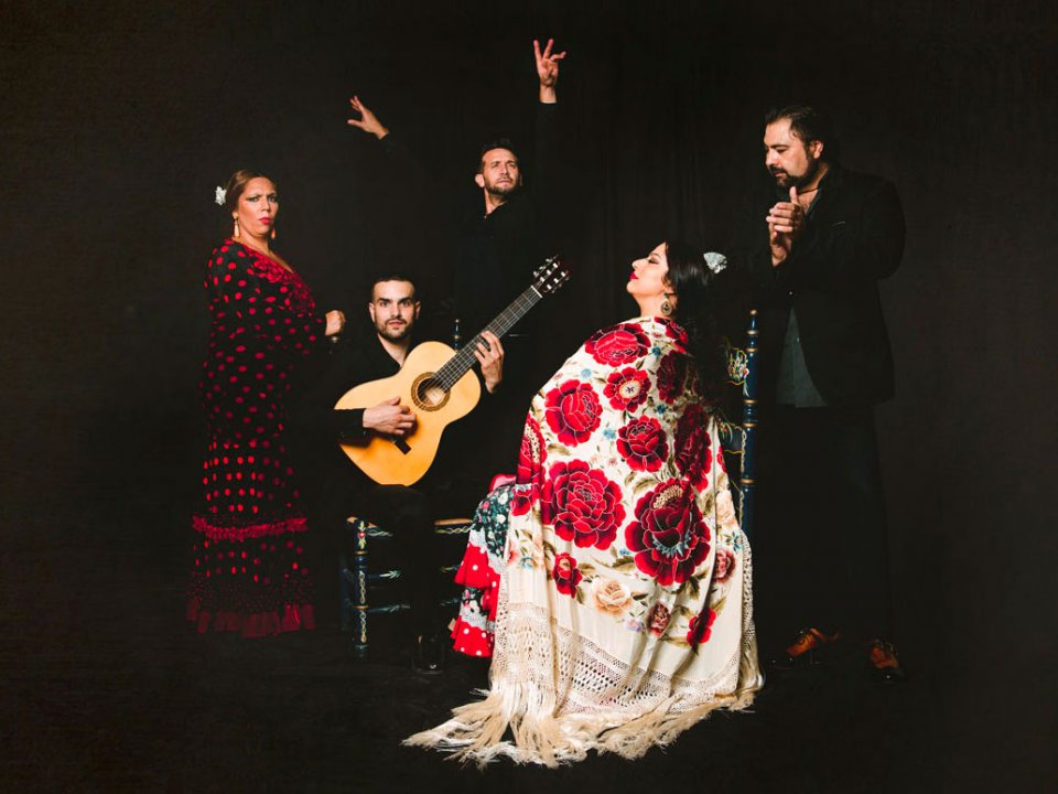 Espectáculo Flamenco