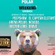 Polar Live Weekend. El Capitán Elefante + Nevada + Driive