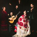 Espectáculo Flamenco