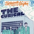 Serpiente Negra. The Cubical